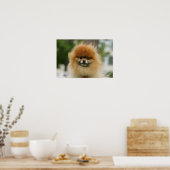 Spitz-Headshot - Kamera Poster (Küche)