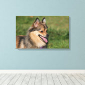 Spitz-Headshot Leinwanddruck (Insitu (Holzboden))