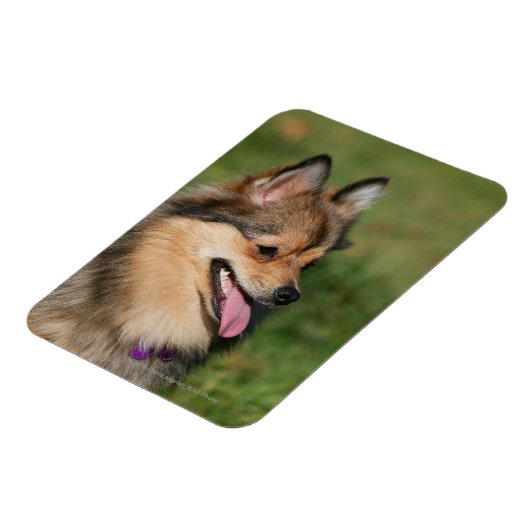 Spitz-Headshot Magnet (Linke Seite)