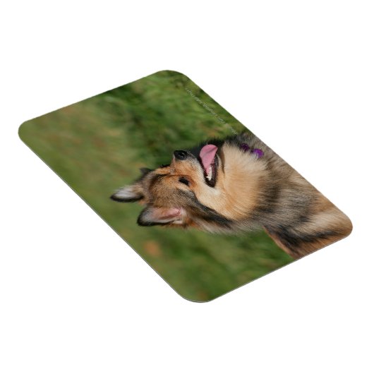 Spitz-Headshot Magnet (Rechte Seite)