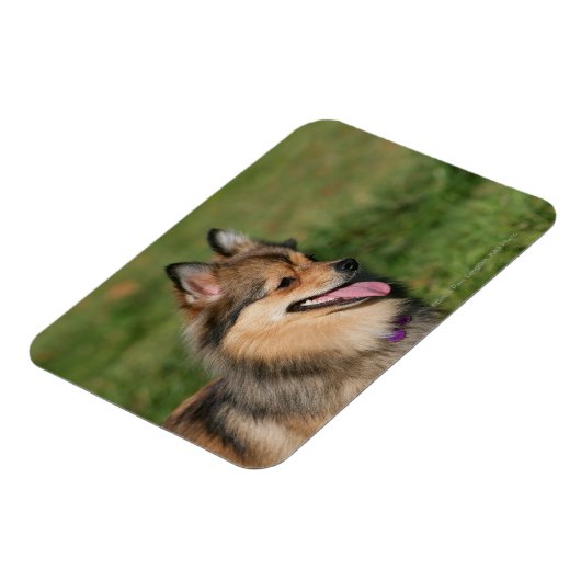 Spitz-Headshot Magnet (Linke Seite)