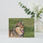 Spitz-Headshot Postkarte (Stehend Vorderseite)