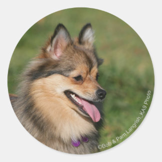 Spitz-Headshot Runder Aufkleber