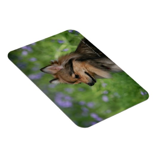 Spitz-Headshot-Sitzung Magnet (Rechte Seite)