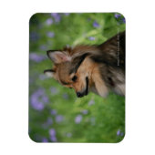 Spitz-Headshot-Sitzung Magnet (Vertikal)