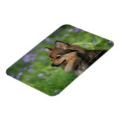 Spitz-Headshot-Sitzung Magnet (Linke Seite)