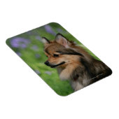 Spitz-Headshot-Sitzung Magnet (Rechte Seite)