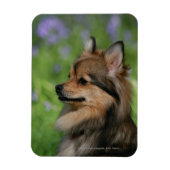 Spitz-Headshot-Sitzung Magnet (Vertikal)