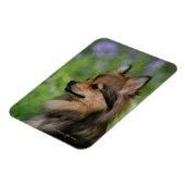 Spitz-Headshot-Sitzung Magnet (Linke Seite)