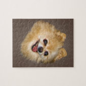 Spitz-Hund auf Brown-Puzzlespiel Puzzle (Horizontal)