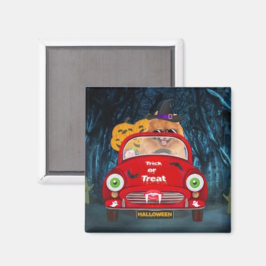 Spitz Hund Autofahren Auto Beängstigend Halloween Magnet (Vorderseite/Rückseite)
