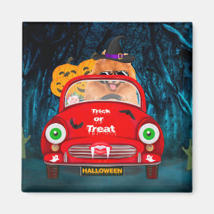 Spitz Hund Autofahren Auto Beängstigend Halloween Magnet