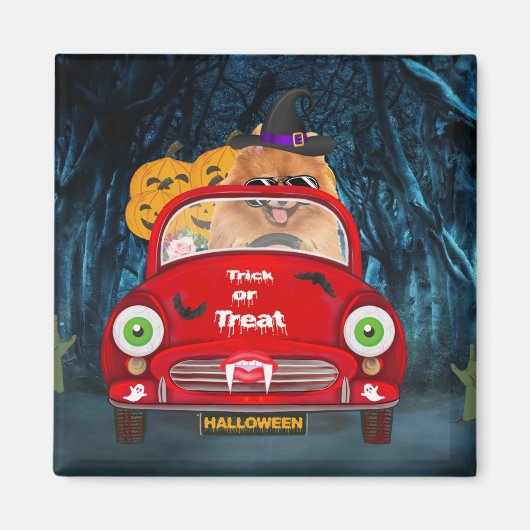 Spitz Hund Autofahren Auto Beängstigend Halloween Magnet (Vorne)