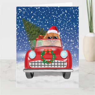 Spitz Hund Autofahren im Schnee Weihnachten Karte