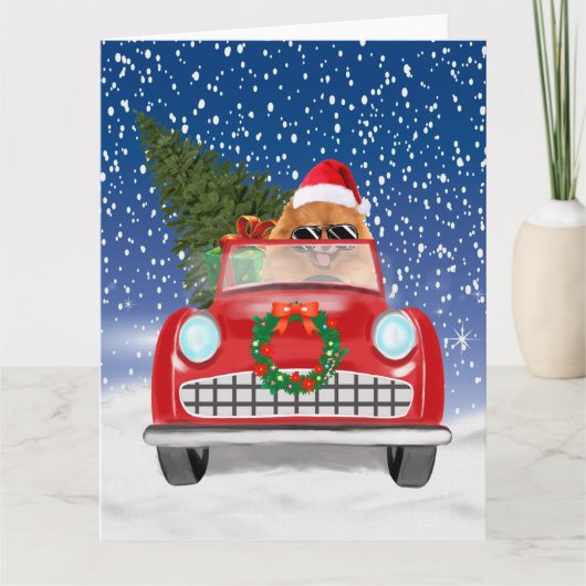 Spitz Hund Autofahren im Schnee Weihnachten Karte (Vorderseite)