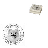 Spitz Hund Haustiere Foto rund Gummistempel (Stempel)