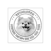 Spitz Hund Haustiere Foto rund Gummistempel (Prägung)