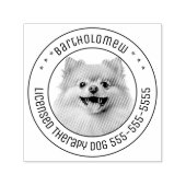 Spitz Hund Haustiere Foto rund Permastempel (Design)