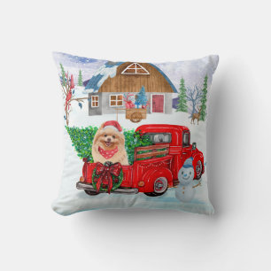 Spitz Hund in der Weihnachtslieferung LKW Schnee Kissen