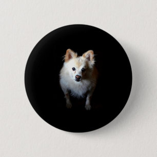 Spitz Hund in Dunkelheit Button