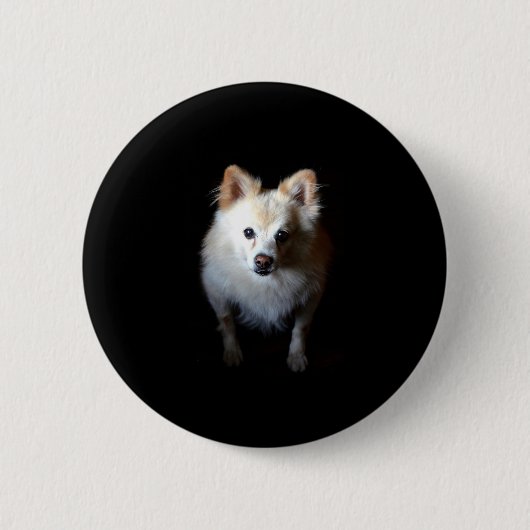 Spitz Hund in Dunkelheit Button (Vorderseite)