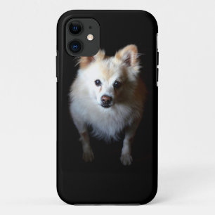 Spitz Hund in Dunkelheit Case-Mate iPhone Hülle