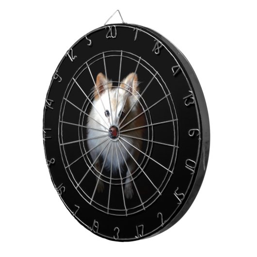 Spitz Hund in Dunkelheit Dartscheibe (Vorderseite rechts)