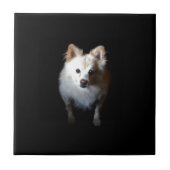 Spitz Hund in Dunkelheit Fliese (Vorderseite)