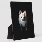 Spitz Hund in Dunkelheit Fotoplatte (Seite)