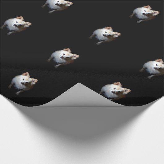 Spitz Hund in Dunkelheit Geschenkpapier (Ecke)