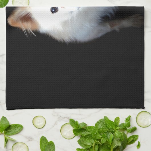 Spitz Hund in Dunkelheit Geschirrtuch (Gefaltet)