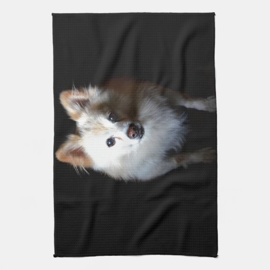 Spitz Hund in Dunkelheit Geschirrtuch (Vertikal)