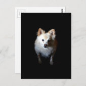 Spitz Hund in Dunkelheit Postkarte (Vorne/Hinten)