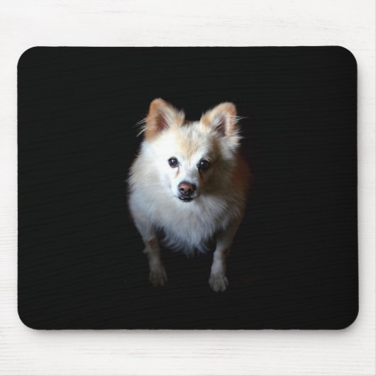 Spitz Hund in dunklen Mousepad (Vorne)