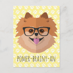 Spitz Hund in Nerd Brille   POMER-BRAINY-AN Postkarte
