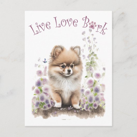 Spitz Hund Mama Bläschen Postkarte (Vorderseite)