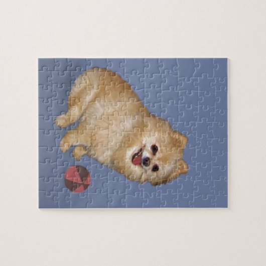 Spitz-Hund mit Ball Puzzle (Horizontal)