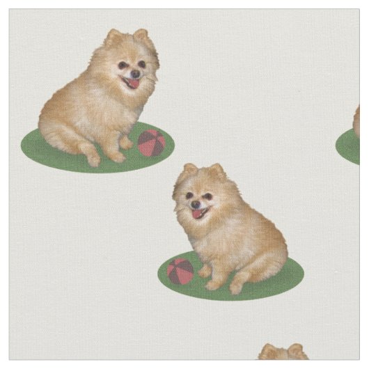 Spitz-Hund mit dem Ball kundengerecht Stoff (Nahaufnahme)
