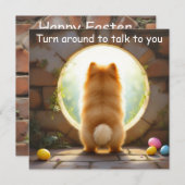 Spitz-Hund - Ostern Feiertagskarte (Vorne/Hinten)