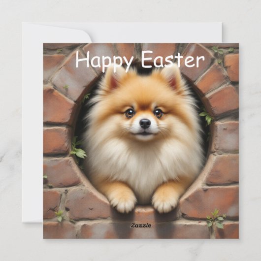 Spitz-Hund - Ostern Feiertagskarte (Rückseite)