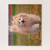 Spitz Hund. Puzzle (Vertikal)