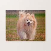 Spitz Hund. Puzzle (Horizontal)
