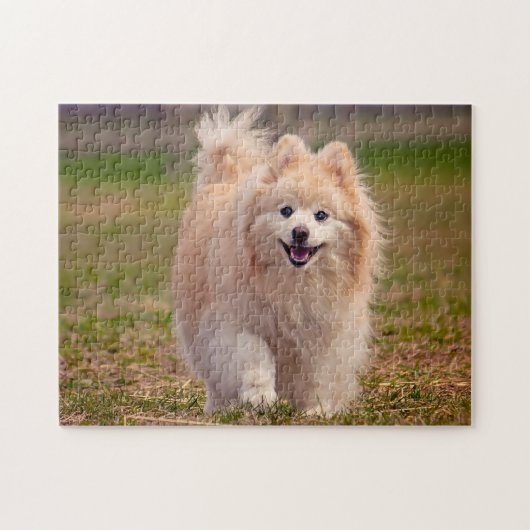 Spitz Hund. Puzzle (Horizontal)