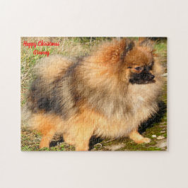 Spitz Hund. Puzzle