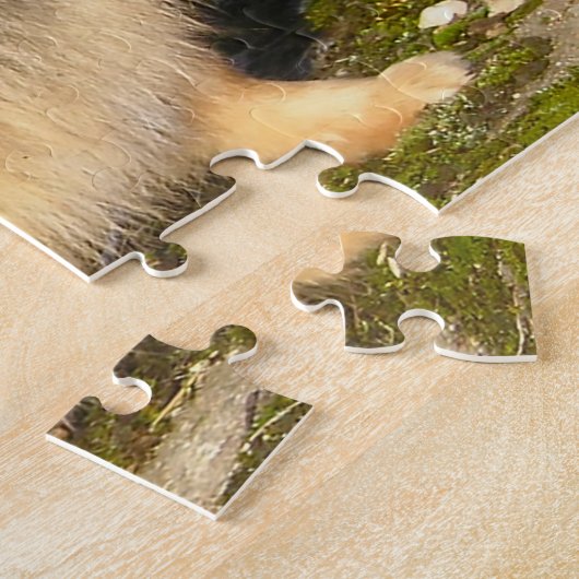 Spitz Hund. Puzzle (Seite)