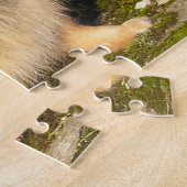 Spitz Hund. Puzzle (Seite)