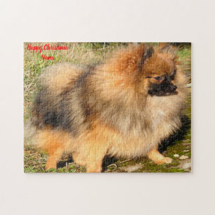 Spitz Hund. Puzzle