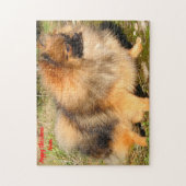 Spitz Hund. Puzzle (Vertikal)