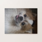 Spitz-Hund Puzzle (Horizontal)