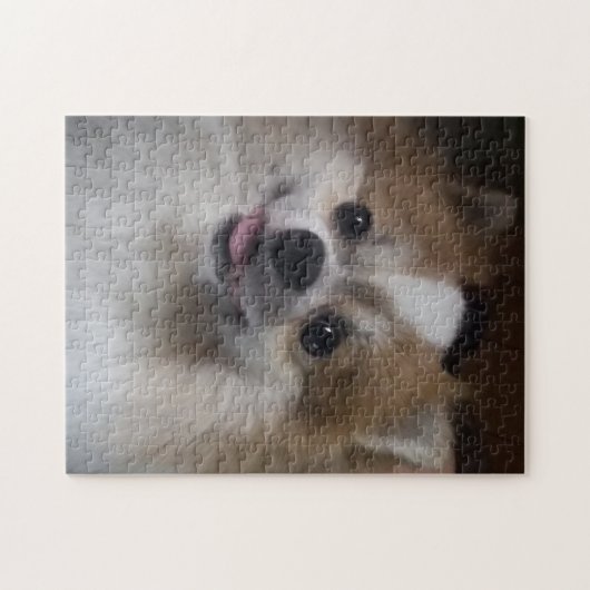 Spitz-Hund Puzzle (Horizontal)